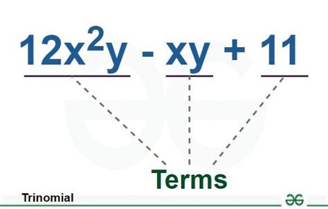 explanation of trinomials.